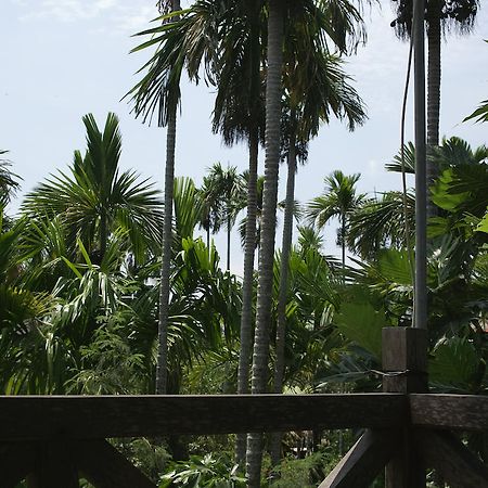 Lila Homestay Hoi An Exteriör bild