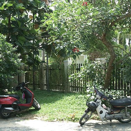 Lila Homestay Hoi An Exteriör bild