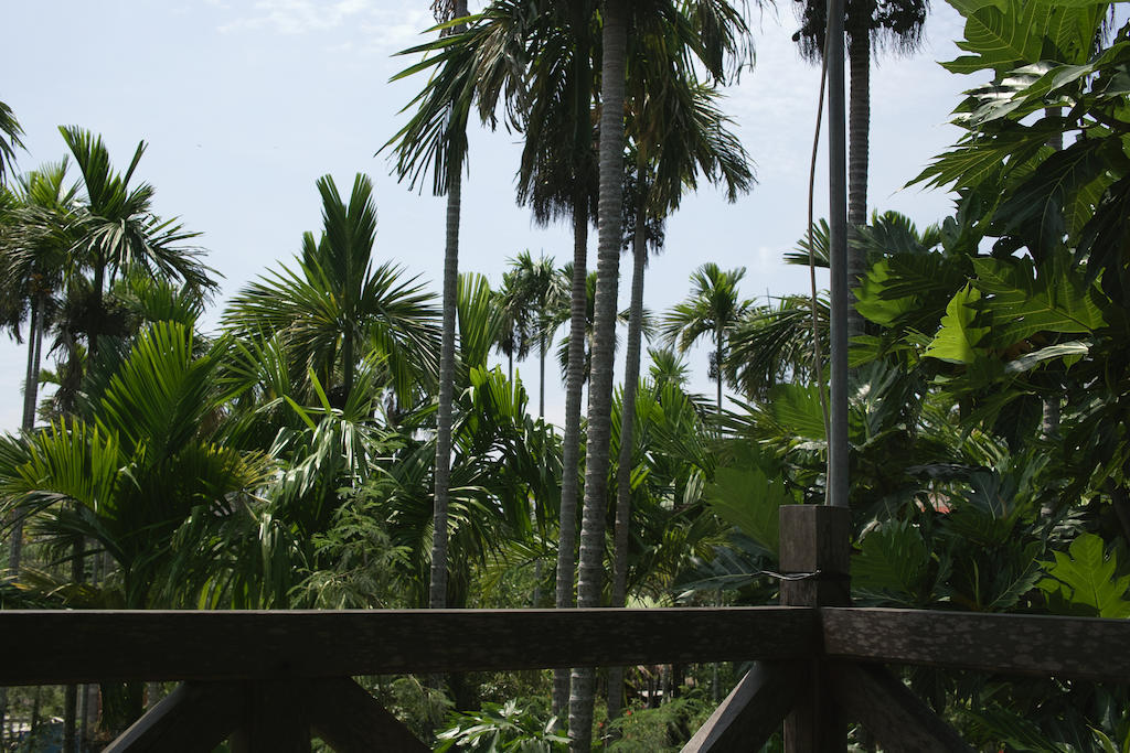 Lila Homestay Hoi An Exteriör bild