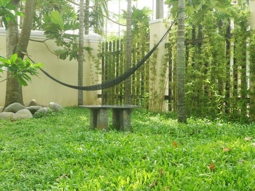 Lila Homestay Hoi An Exteriör bild