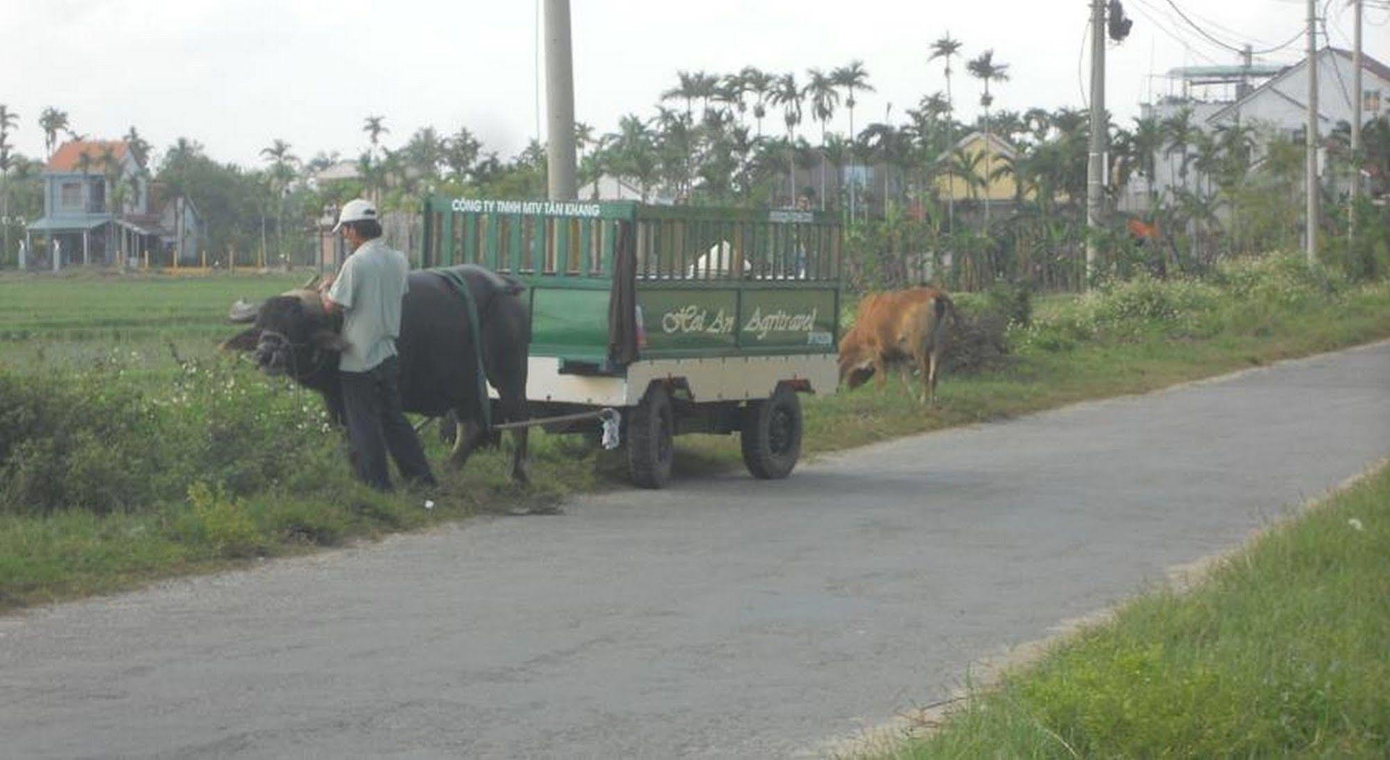 Lila Homestay Hoi An Exteriör bild